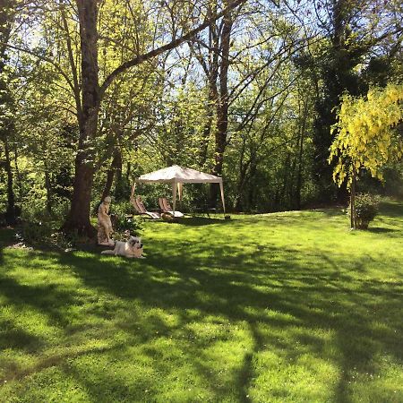 Domaine Du Val De Soux Bed & Breakfast Montgaillard-de-Salies Luaran gambar